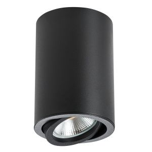 Светильник точечный накладной декоративный под заменяемые галогенные или LED лампы Rullo Lightstar 214407