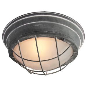 Потолочные светильники LSP-9881