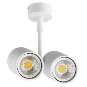 Светильник точечный накладной под заменяемые галогенные или LED лампы Rullo Lightstar 214446 фото в интернет магазине Супермаркет света