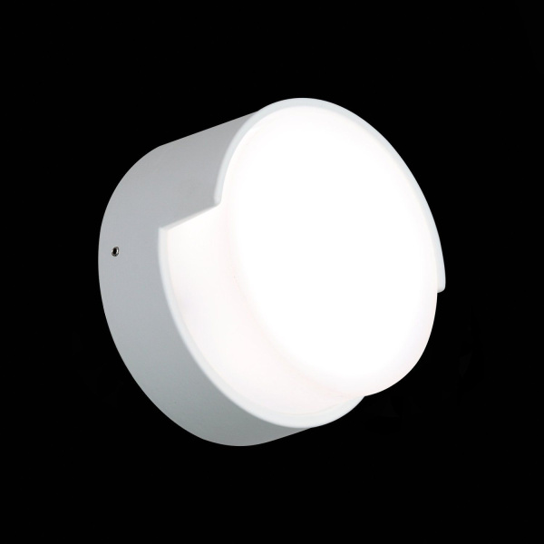 SL090.511.01 Светильник уличный настенный ST-Luce Белый кварцевый/Белый кварцевый, Белый матовый LED 1*5W 4000K LINATA фото в интернет магазине Супермаркет света