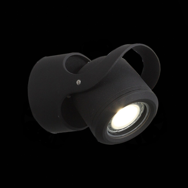 SL093.401.01 Светильник уличный настенный ST-Luce Черный/Черный, Прозрачный G5,3 1*3W ROUND фото в интернет магазине Супермаркет света