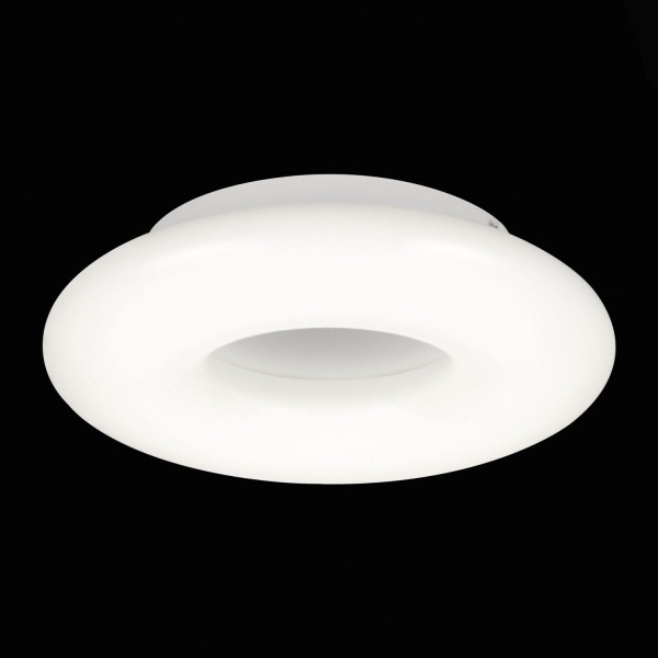 SL902.532.01D Светильник потолочный ST-Luce Белый/Белый LED 1*16W 3000K-6000K ALBO фото в интернет магазине Супермаркет света