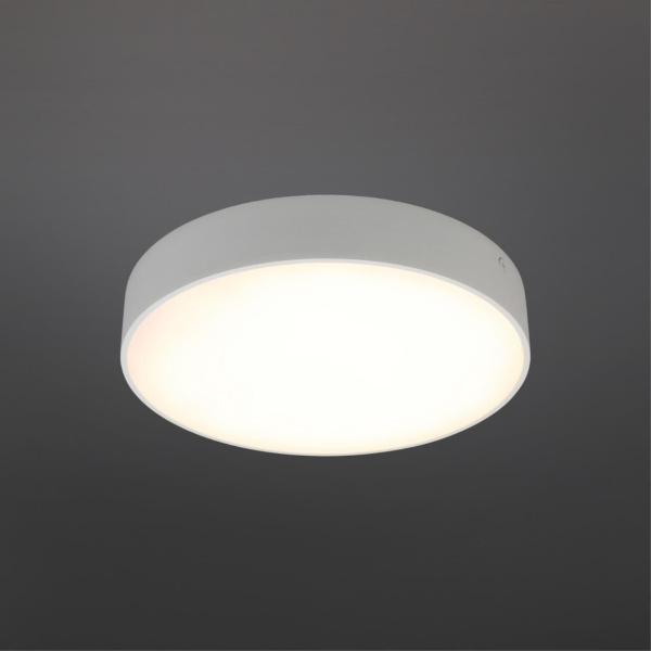 Светильник настенно-потолочный aployt технический свет apl.0113.09.24 фото в интернет магазине Супермаркет света