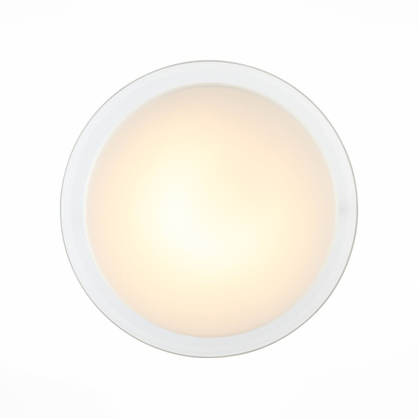 SL466.512.01 Светильник настенно-потолочный ST-Luce Белый/Белый, Прозрачный LED 1*5W 4000K BOTONE фото в интернет магазине Супермаркет света