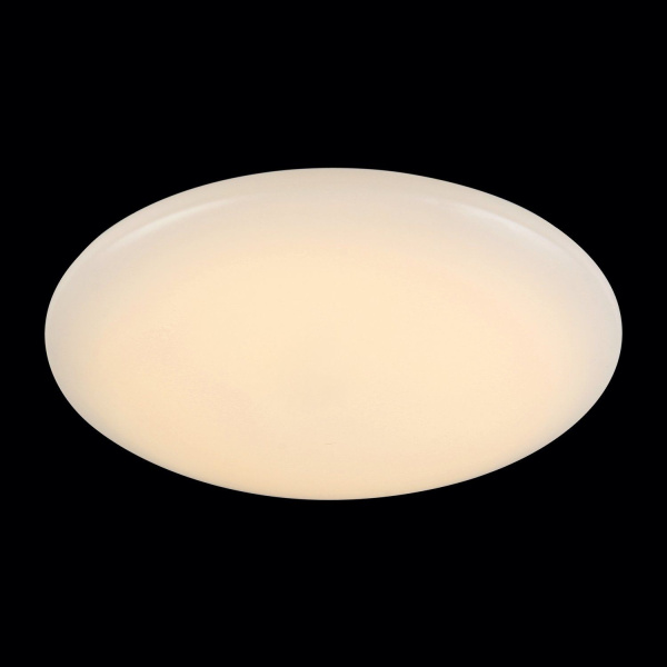 SL875.062.01 Светильник настенно-потолочный ST-Luce Белый/Белый LED 1*108W 3300K LISCIO фото в интернет магазине Супермаркет света