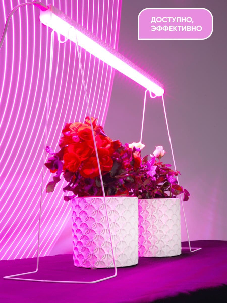 Светодиодный светильник для растений 8W, пластик, IP40, AL7000 фото в интернет магазине Супермаркет света