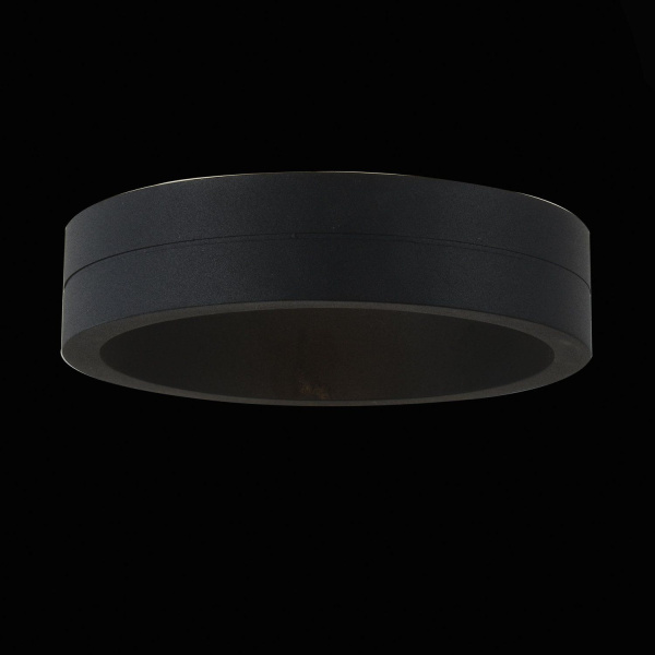 SL562.401.01 Светильник уличный настенный ST-Luce Черный/Черный LED 1*6W 4000K MOLTO фото в интернет магазине Супермаркет света