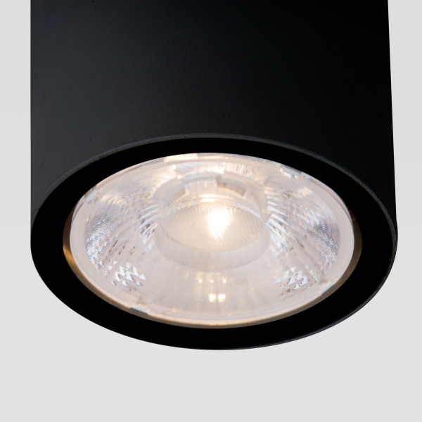 Уличный потолочный светильник Light LED 2103 IP65 35131/H черный фото в интернет магазине Супермаркет света