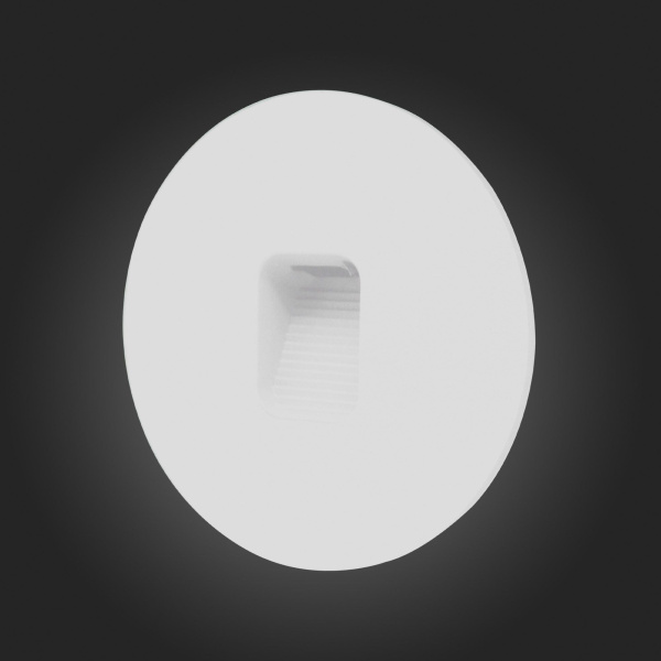 SL9501.501.01 Светильник уличный настенный ST-Luce Белый LED 1*1W 4000K VISANO фото в интернет магазине Супермаркет света
