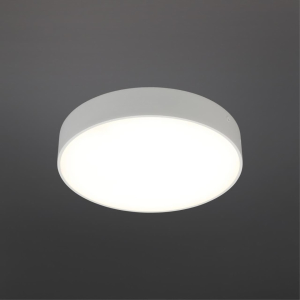 Светильник настенно-потолочный aployt технический свет apl.0114.09.24 фото в интернет магазине Супермаркет света