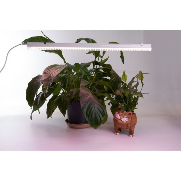 Светодиодный светильник для растений, спектр фотосинтез (полный спектр) 18W, пластик, AL7002 фото в интернет магазине Супермаркет света