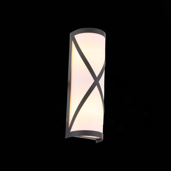 SL076.411.01 Светильник уличный настенный ST-Luce Черный/Белый E27 2*60W AGIO фото в интернет магазине Супермаркет света
