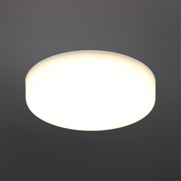 Светильник встраиваемый-накладной aployt технический свет apl.0073.09.10 фото в интернет магазине Супермаркет света