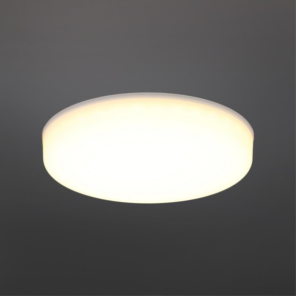 Светильник встраиваемый-накладной aployt технический свет apl.0073.09.18 фото в интернет магазине Супермаркет света
